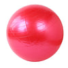 55cm Sports Yoga Balls